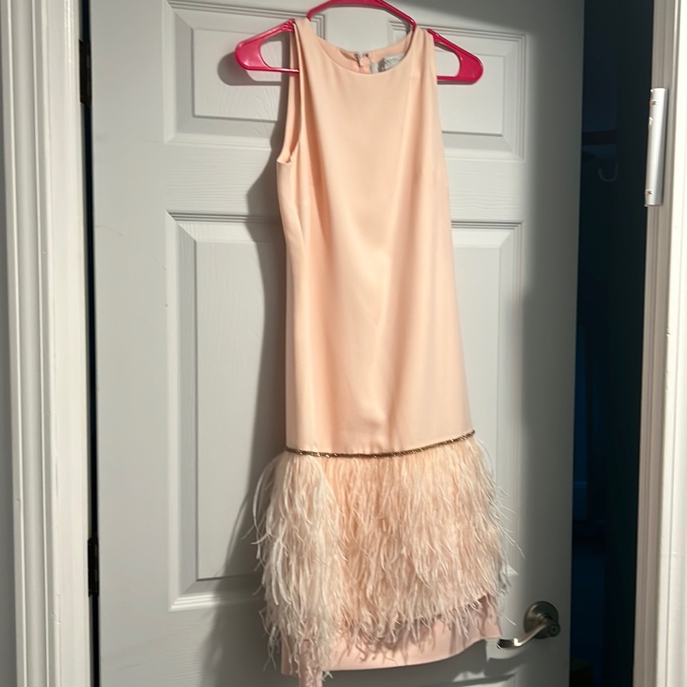 Tahari dress perfect for a wedding